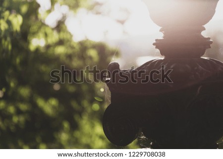 Similar – Image, Stock Photo sun wheel