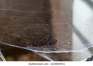 Cobweb In A Corner In The Basement Of An Old Building. Spider Web In Forgotten Place. Interlacing Of Thin Threads. Selective Focus.