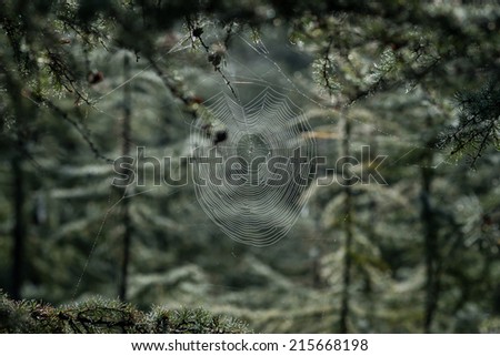 Similar – Grenzerfahrung Umwelt