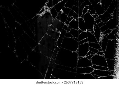 cobweb on a dark background
