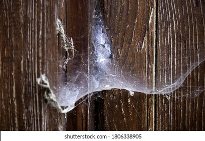 Cobweb On Wooden Door, Dirt And Dust, Spiders