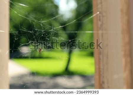 Cobweb and spider on building outdoors, closeup. Space for text