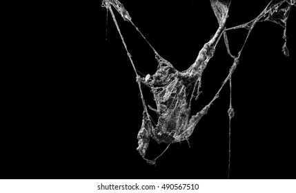Cobweb Or Spider Web Isolated On Black Background