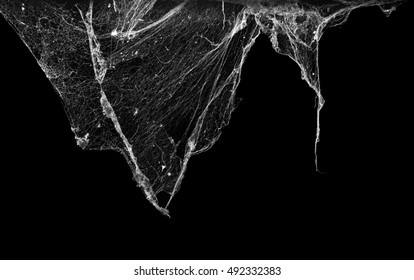 Cobweb Or Spider Web Isolated On Black Background