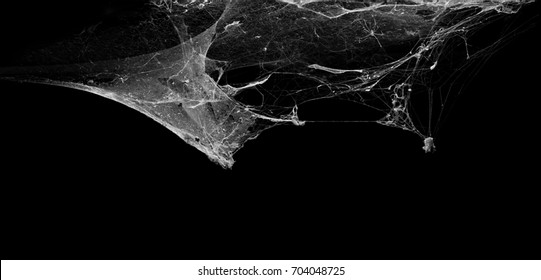 Cobweb Or Spider Web Isolated On Black Background