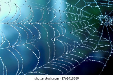 Cobweb or spiderweb natural rain pattern background close-up. Cobweb with drops of rain pattern in blue light. Cobweb net texture with morning rain bokeh. Partial blur view lines spider web necklace - Shutterstock ID 1761418589