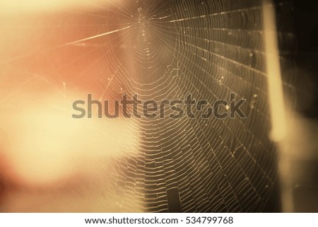 Similar – Image, Stock Photo 500 miles Feminine