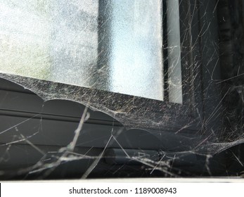 Cobweb in a window