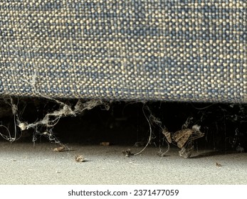 Suciedad de telaraña y polilla muerta bajo un sofá