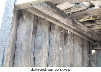 Cobwebs in an old wooden barn