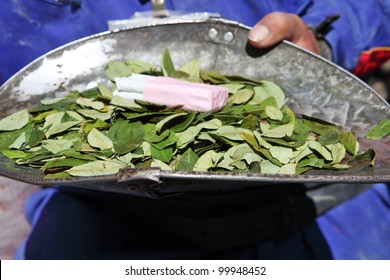 Coca Leaves For Sale