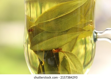 Coca Tea In A Glass 