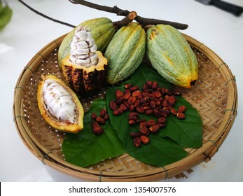 Cocao Pod And Cocao Seed