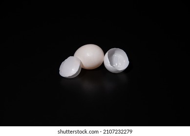 Cockatiel Parrot Eggs Broken Egg On Black