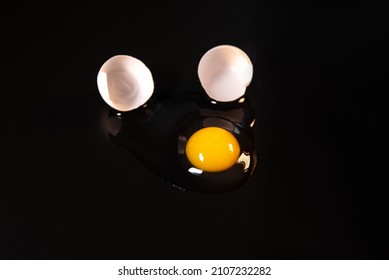 Cockatiel Parrot Eggs Broken Egg On Black