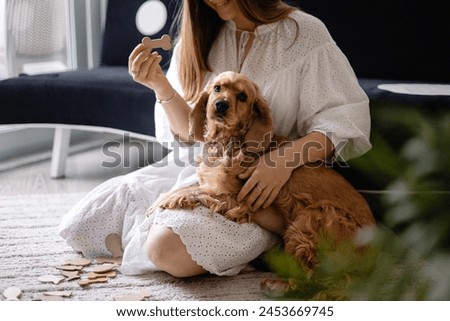 Cocker spaniel dog playing and cuddling with his female owner on the floor at home