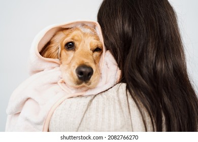 Cocker Spaniel Tacking A Bath With His Human In The Bath Tub. Woman Using A Towel To Comfort Her Pet
