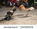 Cockfight in Port Barton, Philipphines. 
In the Philippines, cockfighting, people betting and sometimes fighting to the death are legal