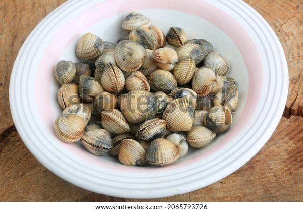cockles as seafood snack
aperitif