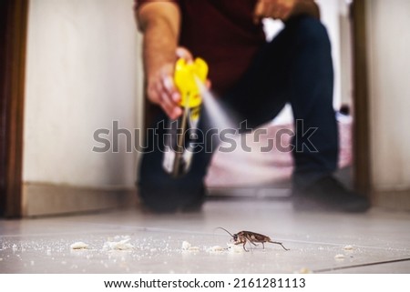 cockroach being killed indoors, aerosol poison spray, insect infestation, insect detection