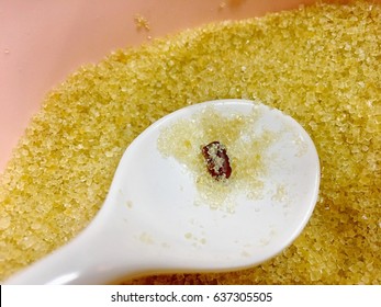 An Cockroach Egg Contaminate With Sugar