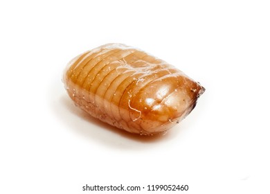 Cockroach Eggs On-white Background