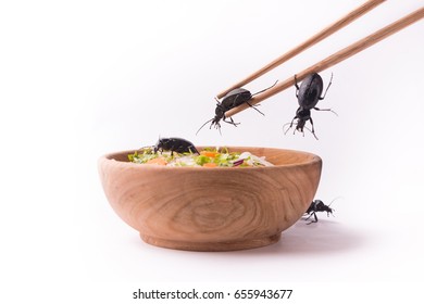 Cockroach Infestation On A Wood Noodles Asian Dish 