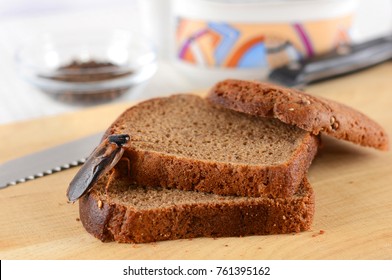 Cockroach On Food In The Kitchen. 