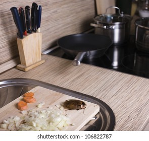 Cockroach On Kitchen