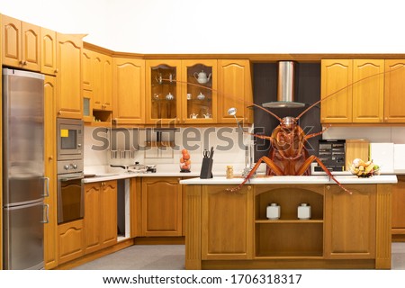 Cockroaches invading and cooking the home kitchen. concept eliminate cockroach in kitchen