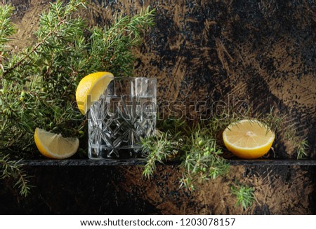 Cocktail gin , tonic with slices of lemon and a sprig of juniper . Copy space for your text.