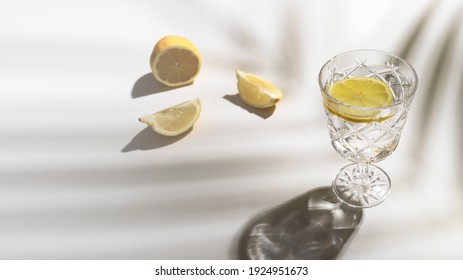 Cocktail Glass  With Lemon On White Background With Palm Tree Shadow 