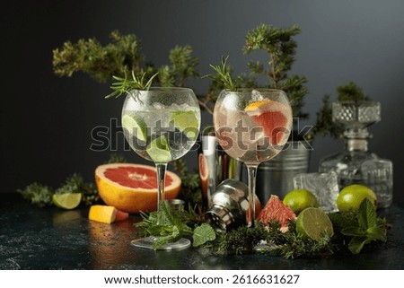 Cocktails gin and tonic with grapefruit and lime slices. Gin and tonic with ingredients and juniper branches on a dark background. Copy space.