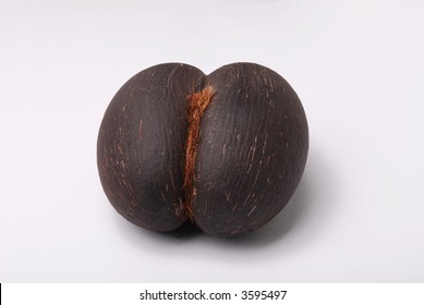 547 Coco de from mer seychelles Images, Stock Photos & Vectors ...