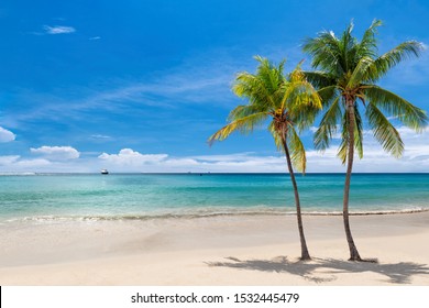 3,051,209 Sunny Beach Images, Stock Photos & Vectors | Shutterstock