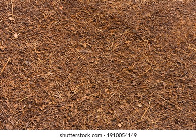 Coco peat for gardening. Coco peat is growing medium made out of coconut husk.