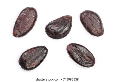 Cocoa Bean Isolated On White Background Macro Top View