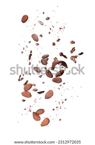 Cocoa bean with cocoa nibs and chocolate powder levitate isolated on white background.