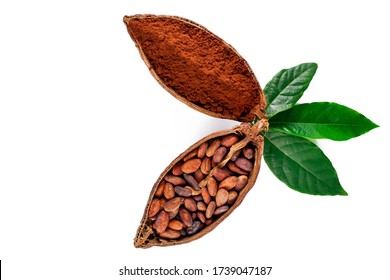 Cocoa beans and cacao powder in the cocoa pods with green leaves isolated on a white background. Top view.