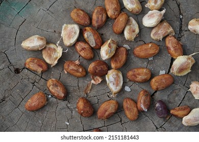 Cocoa beans from dried fruit on brown wooden floor