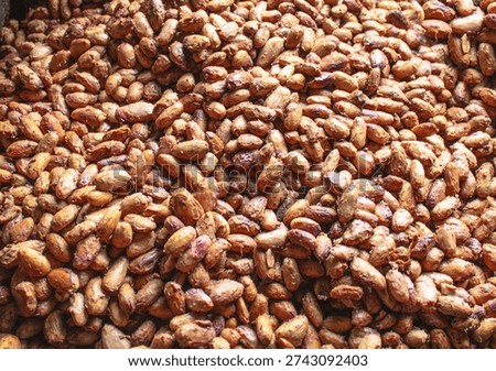 Cocoa beans during the fermentation process
