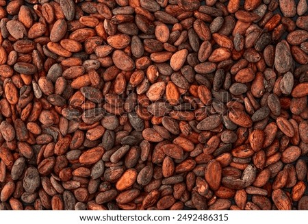 Similar – Image, Stock Photo Cacao beans drying in the sun at Roça Diogo Vaz
