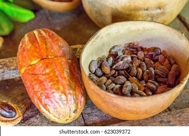 Cocoa Beans In Grenada, Caribbean
