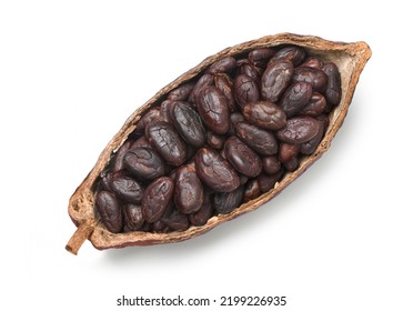 Cocoa beans in half pod isolated on white background. Clipping path.