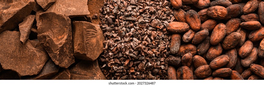 Cocoa beans and natural chocolate pieces, long banner