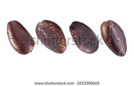 Cocoa beans on a white background.