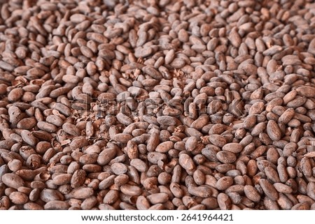 Cocoa beans in a pile to be processed