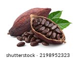 Cocoa beans with cocoa pod isolated on white background. Clipping path.