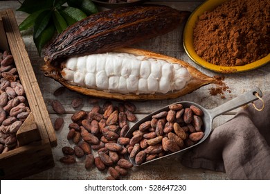 Cocoa beans and cocoa pod with cocoa powder on a wooden surface.
