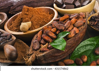 Cocoa Beans And Cocoa Powder, Cocoa Butter And Cacao Nibs With Chopped Chocolate On A Wooden Background